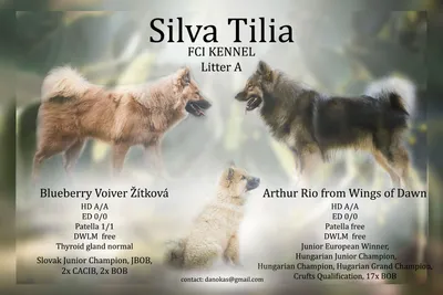 Vrh – Vrh B (2026)